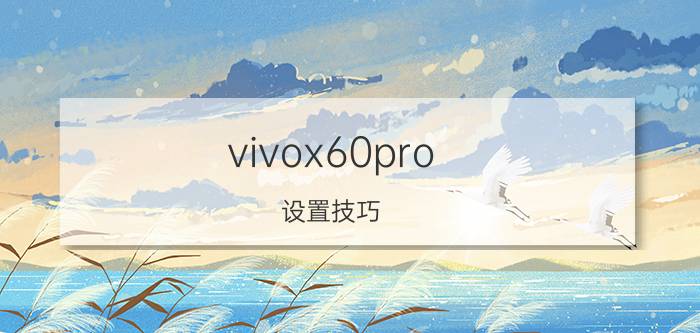 vivox60pro 设置技巧 vivo x60pro 开发者选项怎么设置？